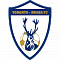Торонто Аваба Стагс