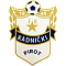 Раднички Пирот