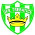 ОФК Требатице