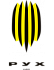 Рух Львов U19