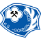 Горник Конин