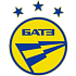 БАТЭ (р)