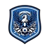 КС Вултурий Фэркэшешть