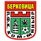 Ком Берковица