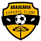 Араукария ЭКР U20